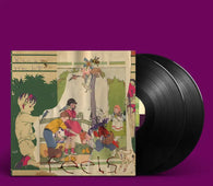 Animal Collective "Feels" 2LP
