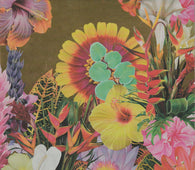 Philippe Cohen Sola "Paradis Artificiel" CD