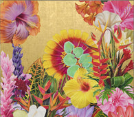 Philippe Cohen Sola "Paradis Artificiel" LP