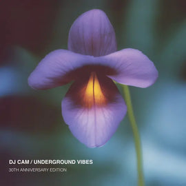 DJ Cam "Underground Vibes" LP