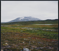 Gidge "Tundra" LP