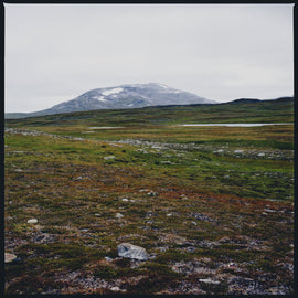 Gidge "Tundra" LP