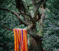 James Holden & The Animal Spirits "The Animal Spirits" CD