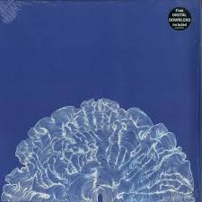 Leafcutter John "Yes! Come Parade With Us" LP+MP3