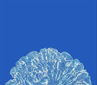 Leafcutter John "Yes! Come Parade With Us" CD