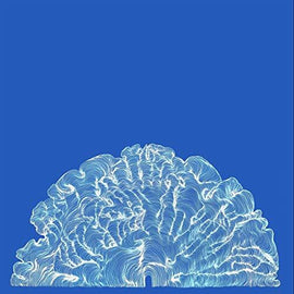 Leafcutter John "Yes! Come Parade With Us" CD