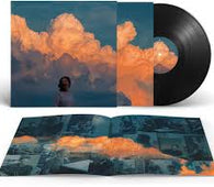 The Boxer Rebellion "The Second I'm Asleep " LP