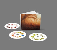 Aphex Twin "Selected Ambient Works Vol. II (Expanded Edition)" 3CD