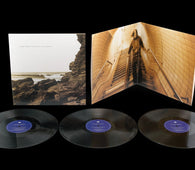 Polygon Window "Surfing On Sine Waves" 3LP