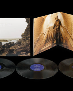 Polygon Window "Surfing On Sine Waves" 3LP