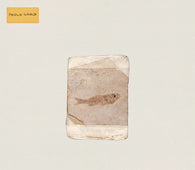 Baauer "U" CD