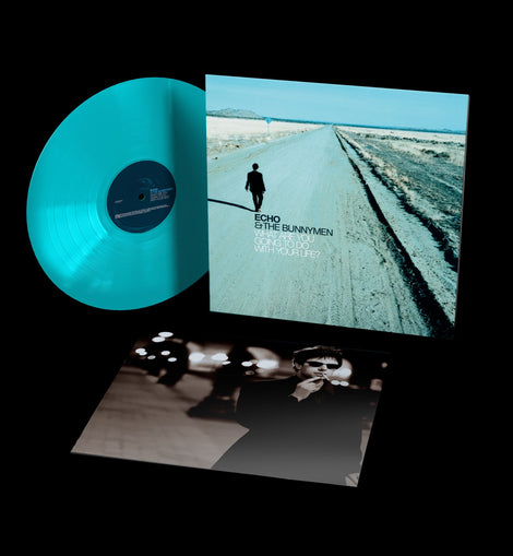 Echo And The Bunnymen 