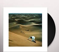 Baxter Dury "Prince Of Tears" LP