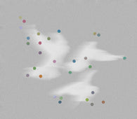 Godblesscomputers "Faded Views" LP