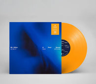 Mr. Käfer "A Past Sense" LP
