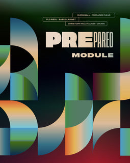 Prepared "Module (LP+MP3)" LP