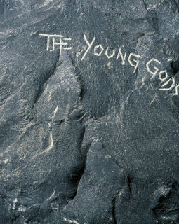 The Young Gods "The Young Gods (2lp)" 2LP