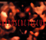 Bardoseneticcube "Necklace" CD