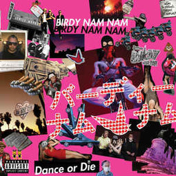 Birdy Nam Nam "Dance Or Die" CD - new sound dimensions