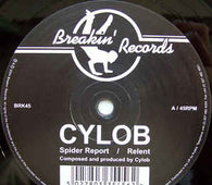 Cylob "Spider Report" 12" - new sound dimensions