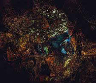 Damian Lazarus & The Ancient Moons "Message From The Other Side" CD