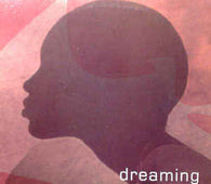 Soul Movement "Dreaming (The Reticulate Mixes)" 12"