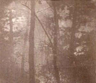 Cocytus "Dtxenioutha" CD