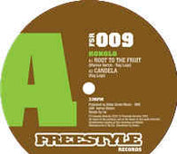 Kokolo Afrobeat Orchestra "Root To The Fruit" 12"