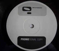 Ortin Cam "Brand New Day" 12"