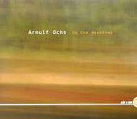 Arnulf Ochs "In The Meantime" CD - new sound dimensions