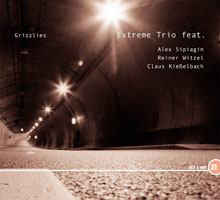 Extreme Trio "Grizzlies" CD - new sound dimensions