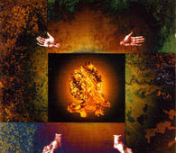 Coil "Gold Is The Metal (With The Broadest Shoulders)" CD
