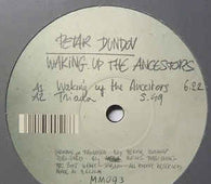 Petar Dundov "Waking Up The Ancestors" 12" - new sound dimensions