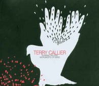 Terry Callier "Running Around / Monuments Of Mars" 12"