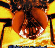 More Repa?blica Masonica "Blow Your Mind (With Supersonic Meditation)" CD