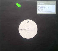 Ladyvipb Ft . Elizabeth Wilson "Communication" 12"