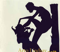 Arto Lindsay "Salt" CD - new sound dimensions