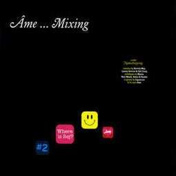 Ame "... Mixing" 3x12" - new sound dimensions