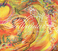 John Zorn "Pellucidar (A Dreamers Fantabula)" CD