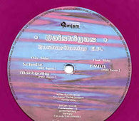 Vaishiyas "Zoskarilonky E.P." 12"