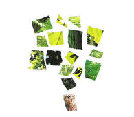 Ganga "I Dream About Trees" CD