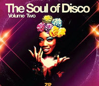 Various Artists "The Soul of Disco Vol.2 compiled by Joey Negro & Sean P" 2LP