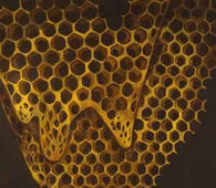 Telefon Tel Aviv "Map Of What Is Effortless" CD - new sound dimensions