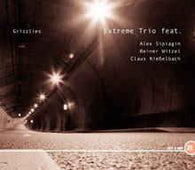 Extreme Trio "Grizzlies" CD - new sound dimensions