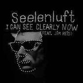Seelenluft "I Can See Clearly Now" 7" - new sound dimensions