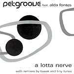 Petgroove "A Lotta Nerve" 12" - new sound dimensions