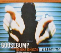 Goosebump Ft Romina Johnson "Never Gonna Do" 12" - new sound dimensions