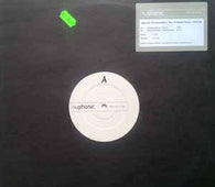 Ladyvipb Ft . Elizabeth Wilson "Communication" 12" - new sound dimensions