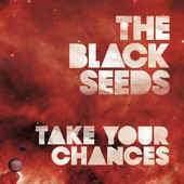 The Black Seeds "Take Your Chances" CD - new sound dimensions