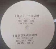 Freeform Arkestra "Thyrrenean Sea / Freeform Theme (Raw Deal Remix)" 10" - new sound dimensions
